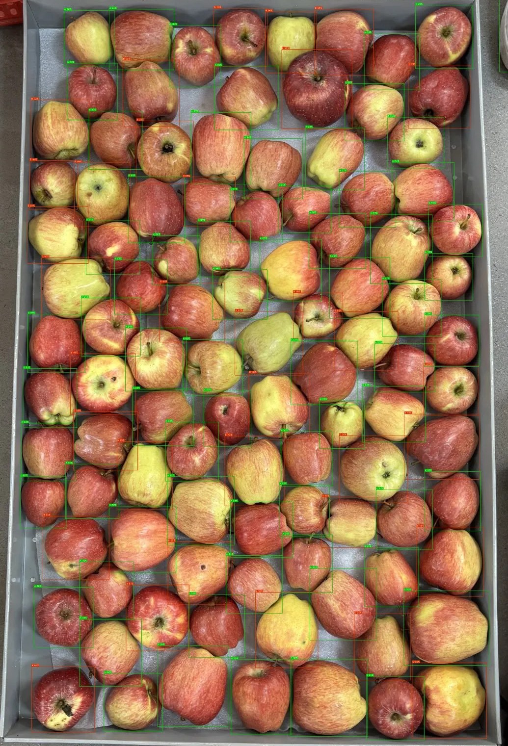 A tray of 102 apples photographed at intake, with Malus Lens detection boxes marking Grade A and Grade B apples