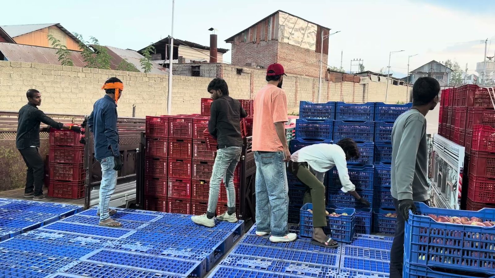 Workers unloading crates of apples onto pallets at cold-store intake